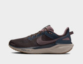 Pegasus 41