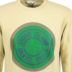 STONE ISLANDCompass Printed Logo Sweatshirt Beige