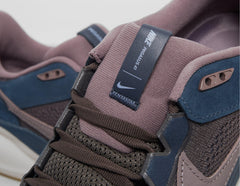 Pegasus 41