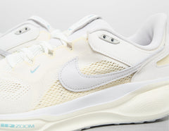 Pegasus 41
